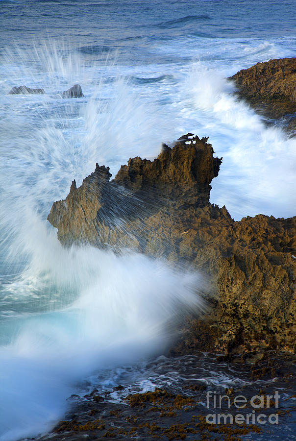 Spray Photograph - Carved by the Sea #2 by Michael Dawson