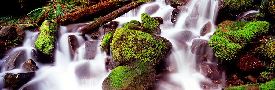 Olympic National Park Photograph - Cascading Waterfall In A Rainforest #1 by Panoramic Images