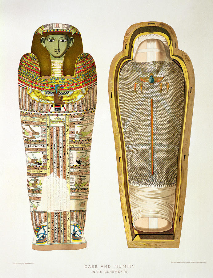 Burial Cloth Drawing - Case And Mummy In Its Cerements by American School