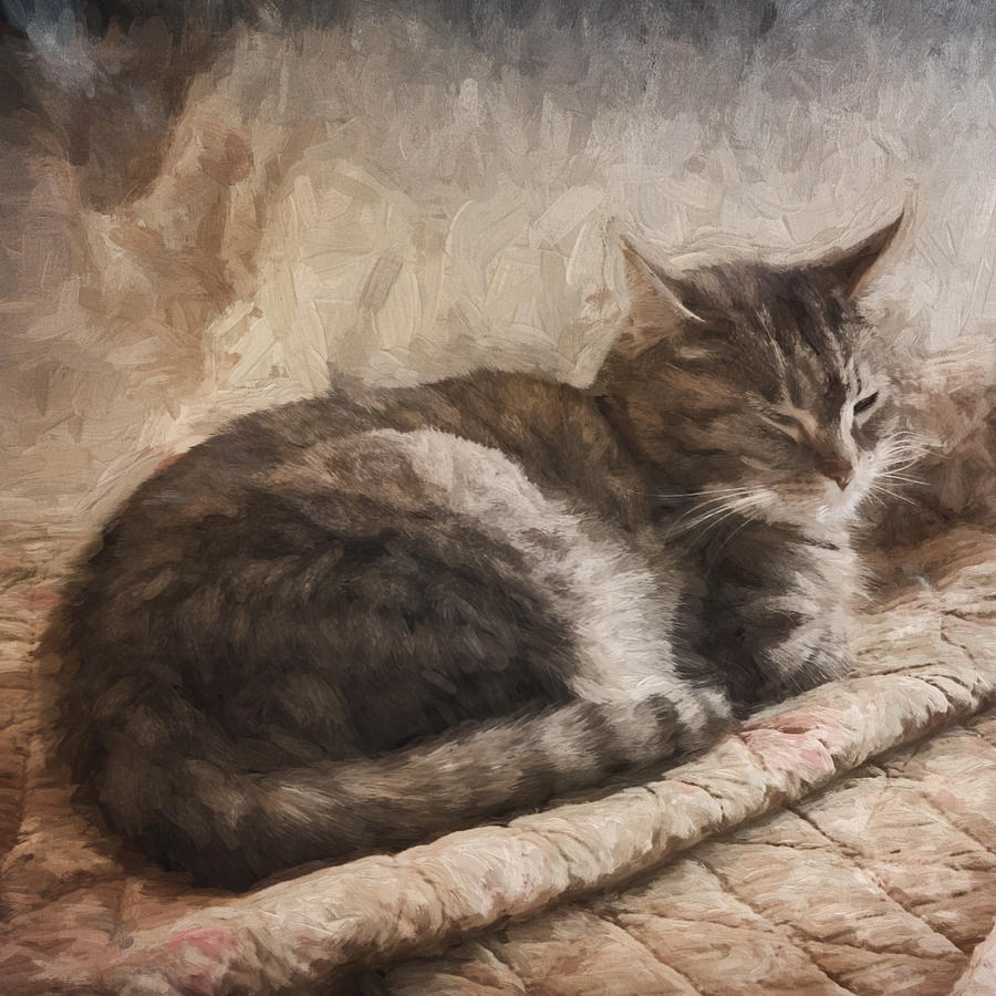 Cat on the Bed Painterly #2 Mixed Media by Carol Leigh