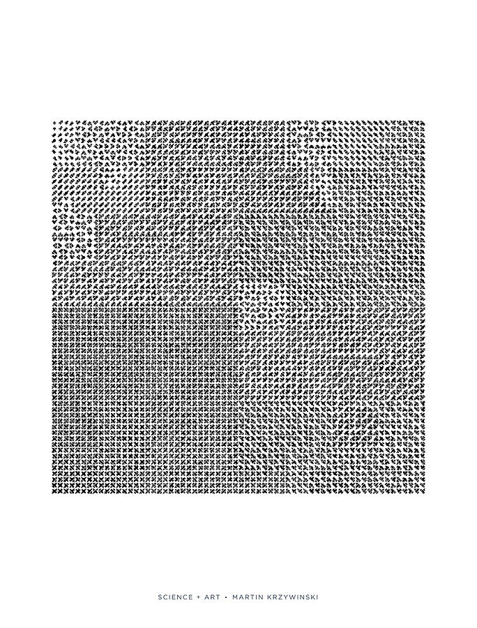 Catalogue of 4096 Hilbertonians #1 Digital Art by Martin Krzywinski