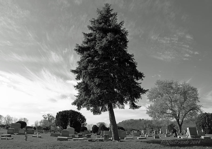Cemetery Spirits #1 Photograph by PJQandFriends Photography