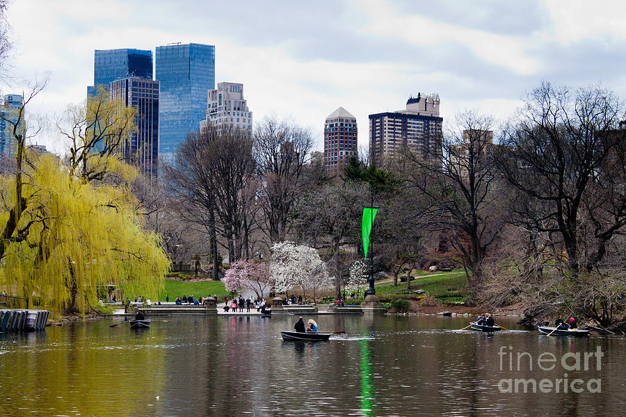 Central Park Lake Photograph by Thomas Marchessault