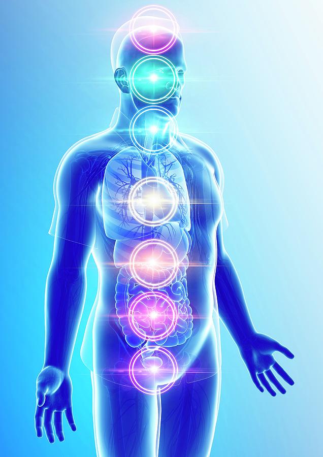 Chakra Energy Points Photograph by Pixologicstudio/science Photo Library