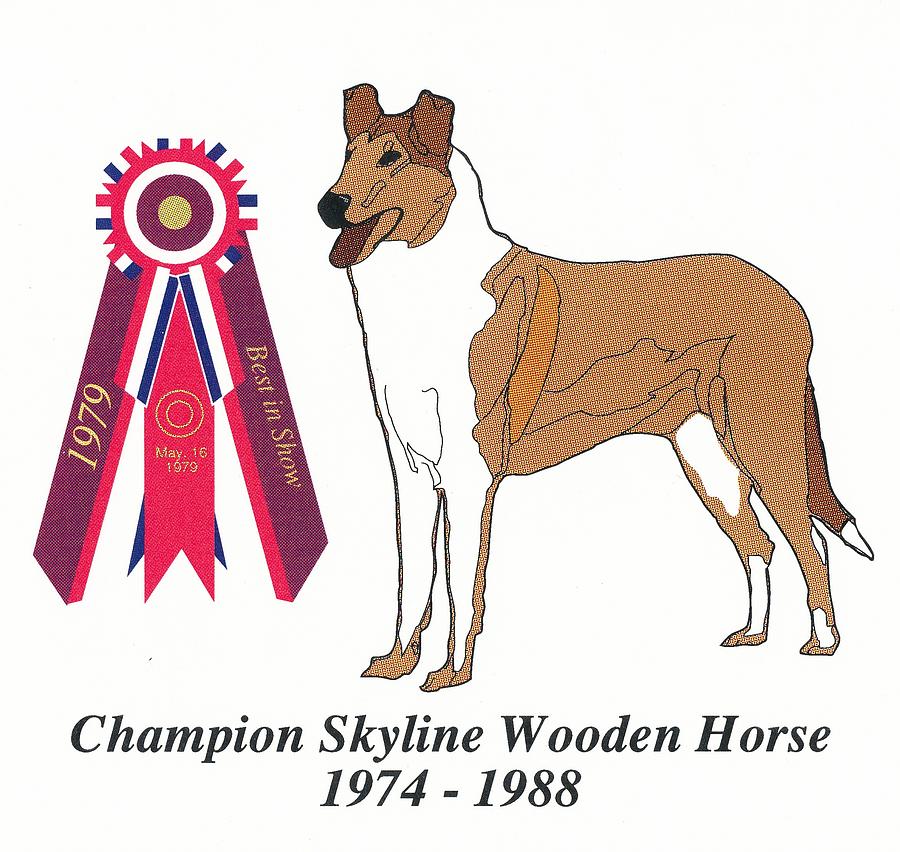 Champion Wooden Horse #2 Drawing by George Galaich