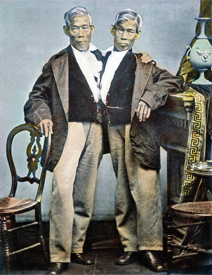 Chang And Eng (1811-1874) Photograph by Granger