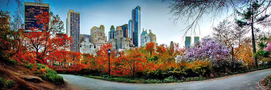 Central Park Photograph - Changing Of The Seasons by Az Jackson