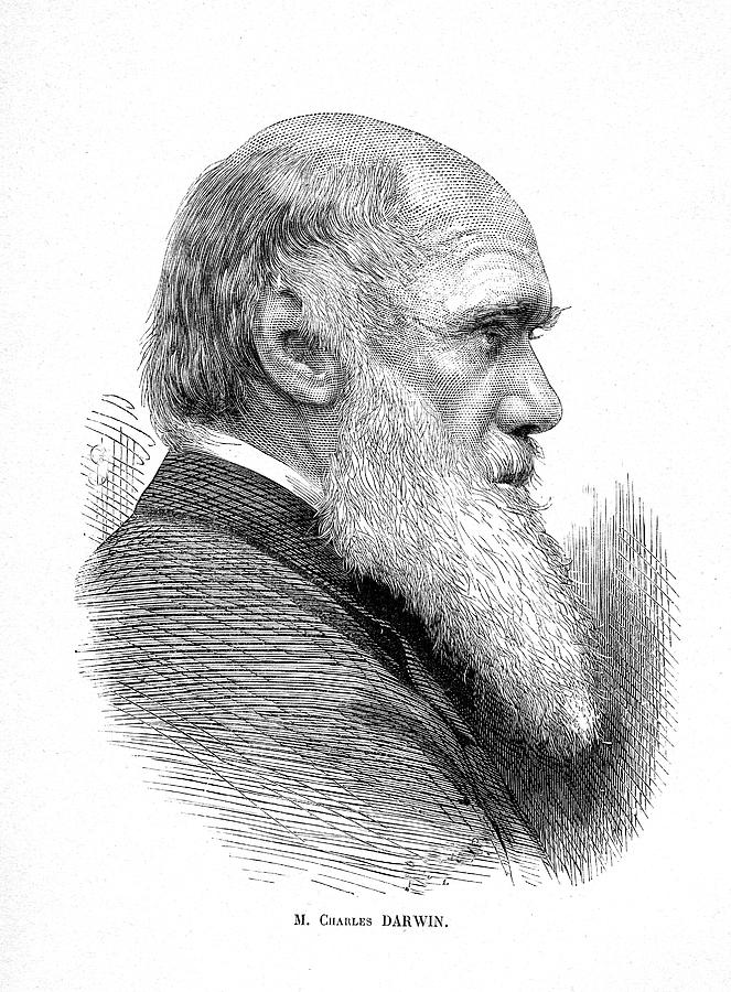 Charles Darwin #1 Photograph by Collection Abecasis