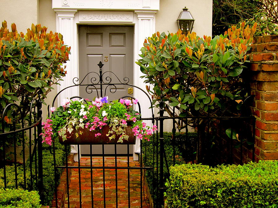 Charleston garden #1 Photograph by Alan Metzger