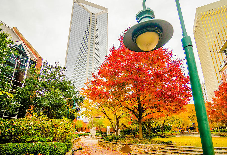 Charlotte City Skyline Autumn Season #1 Photograph by Alex Grichenko