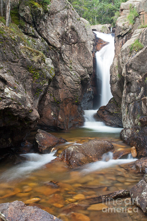 Chasm Falls on Fall River in Rocky Mountain National Park #1 Photograph by Fred Stearns