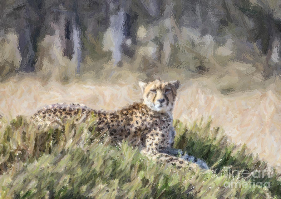 Cheetah Acinonyx jubatus #2 Digital Art by Liz Leyden