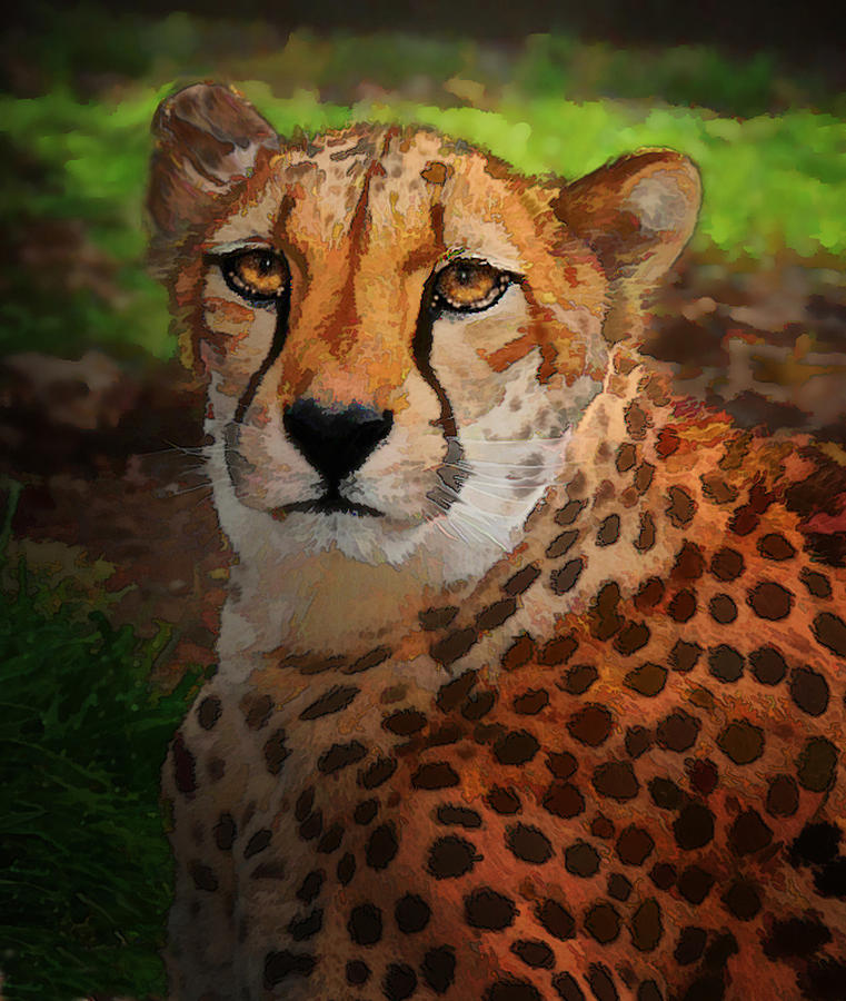 Cheetah Mama Photograph by Melinda Hughes-Berland