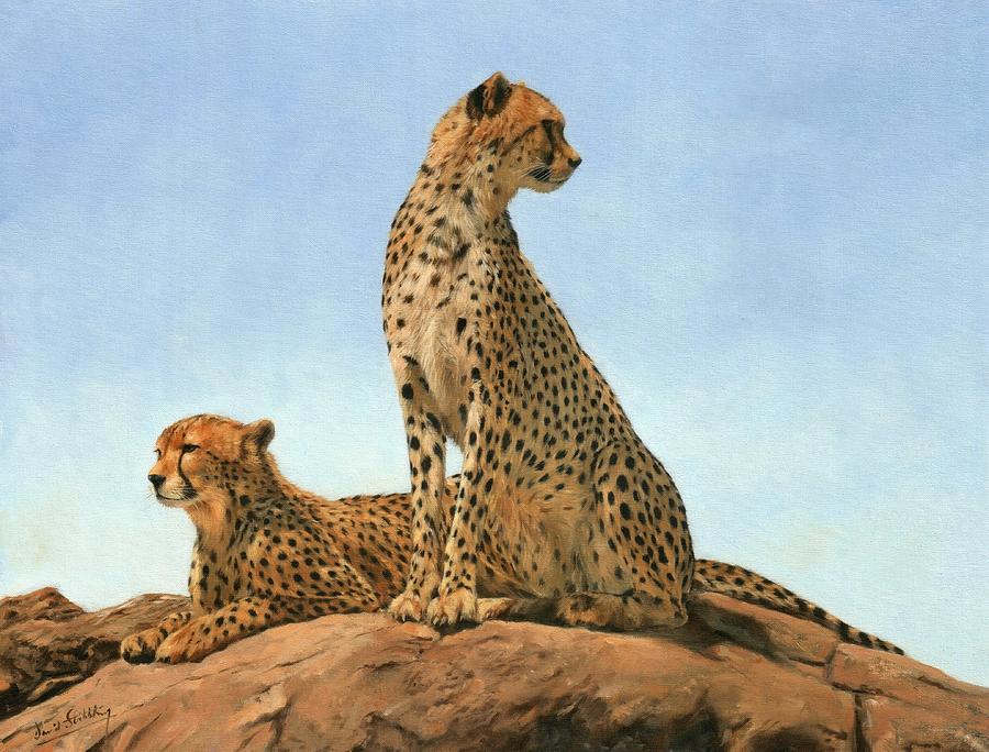Cat Painting - Cheetahs #2 by David Stribbling