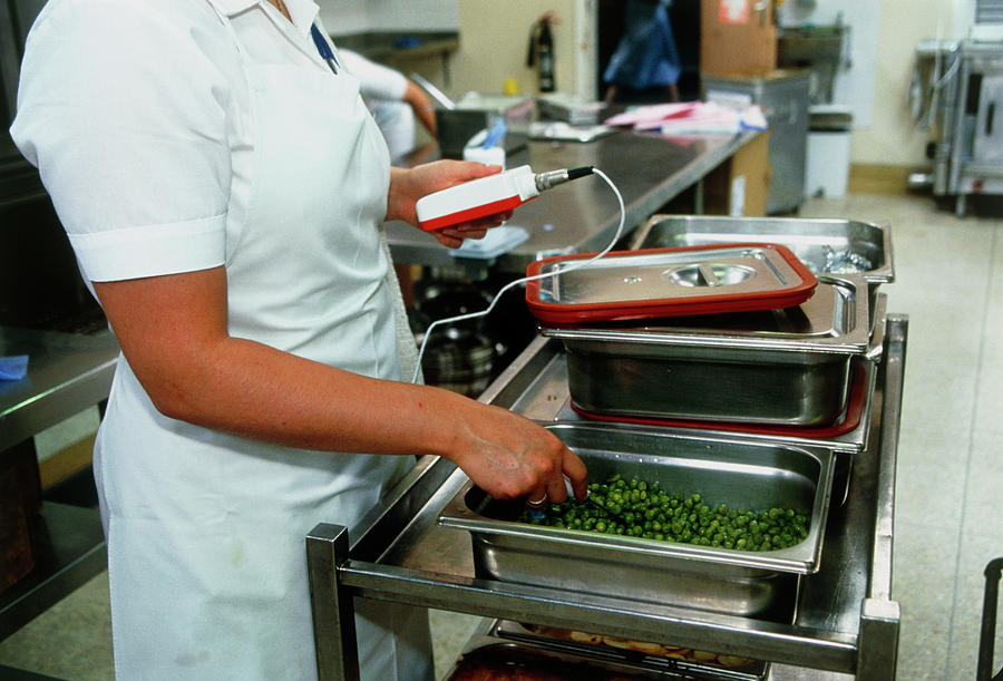 https://images.fineartamerica.com/images-medium-large-5/1-chef-checking-the-temperature-of-hospital-food-antonia-reevescience-photo-library.jpg