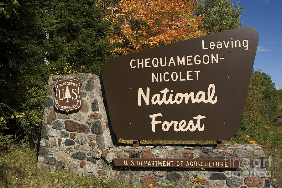 Chequamegon National Forest Sign Photograph by Linda Freshwaters Arndt