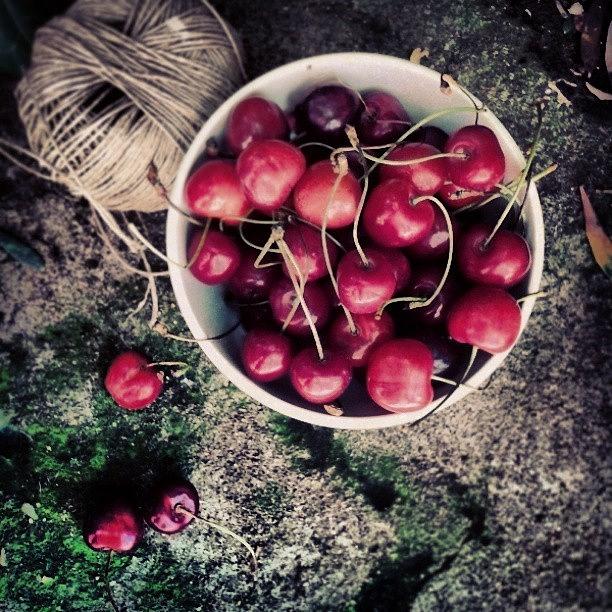 Summer Photograph - Cherries! #1 by Emanuela Carratoni
