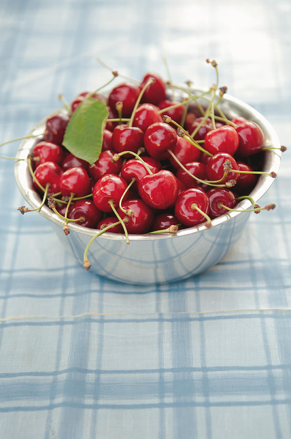 Summer Photograph - Cherries  #1 by Viktor Pravdica
