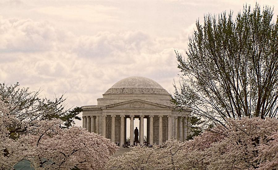 Cherry Blossoms #1 Photograph by Jennifer Wheatley Wolf