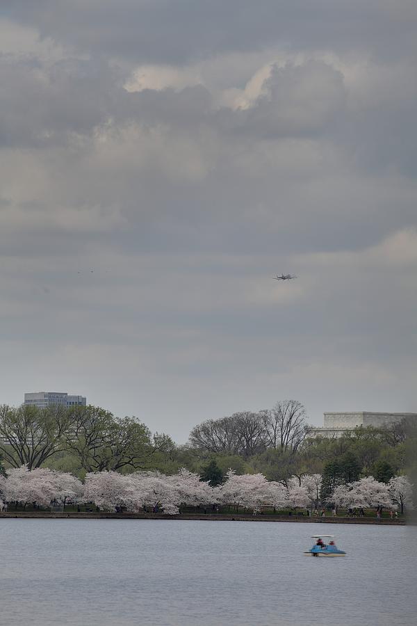 Cherry Blossoms - Washington DC - 011319 #1 Photograph by DC Photographer