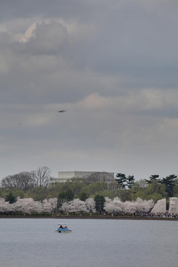 Flower Photograph - Cherry Blossoms - Washington DC - 011321 #1 by DC Photographer
