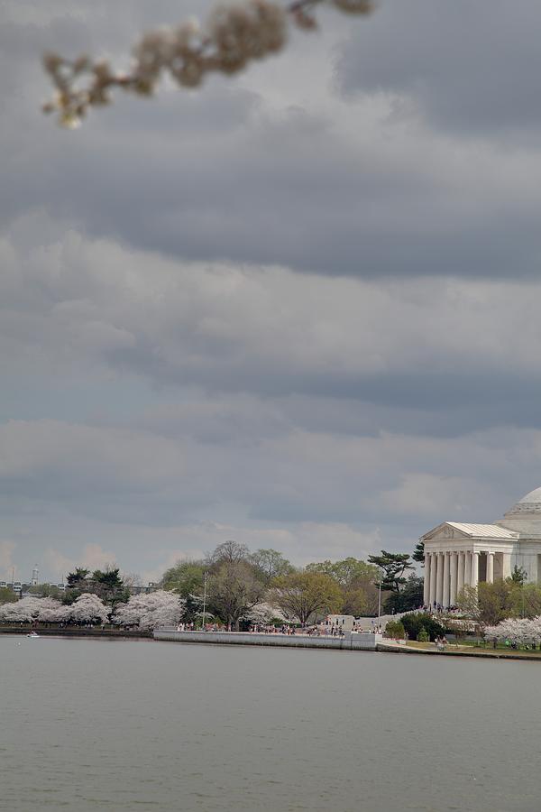 Cherry Blossoms with Jefferson Memorial - Washington DC - 01138 #1 Photograph by DC Photographer