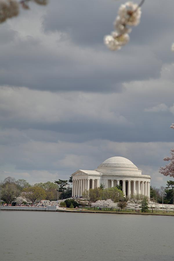 Flower Photograph - Cherry Blossoms with Jefferson Memorial - Washington DC - 01139 #1 by DC Photographer