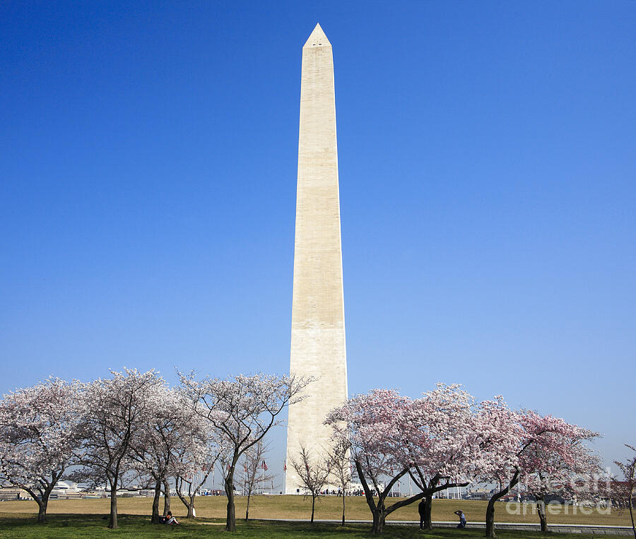 The Washington Monument in Washington DC Digital Art by William Kuta