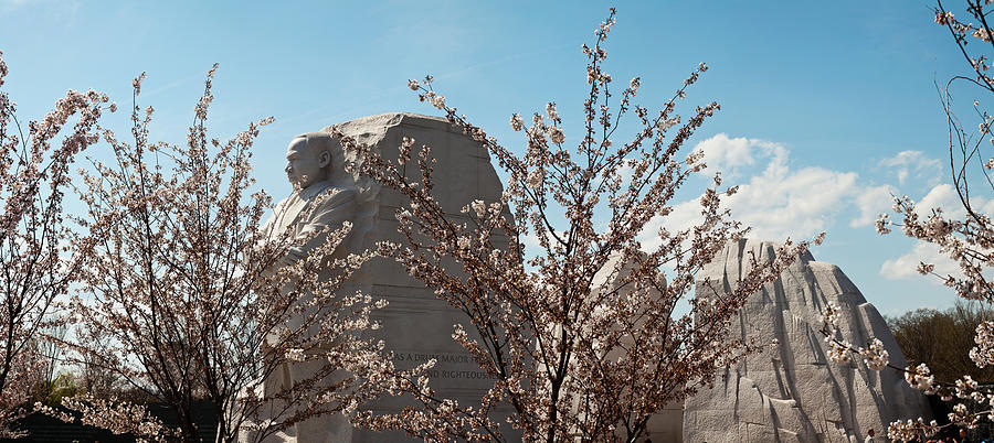 Spring Photograph - Cherry Trees In Front Of A Memorial #1 by Panoramic Images