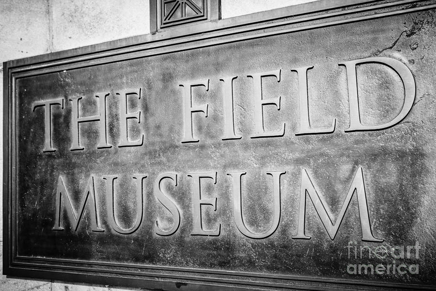 Chicago Field Museum Sign in Black and White #1 Photograph by Paul Velgos