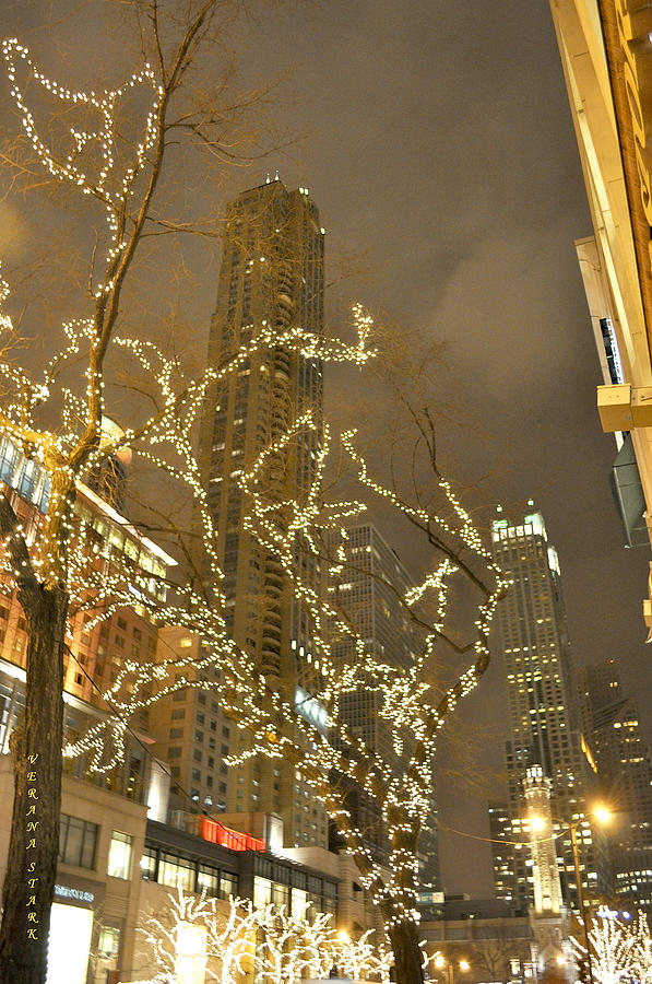 Chicago Night Life  #1 Photograph by Verana Stark