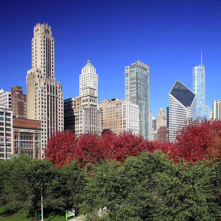 Chicago Skyline And Millennium Park #1 Photograph by Hisham Ibrahim