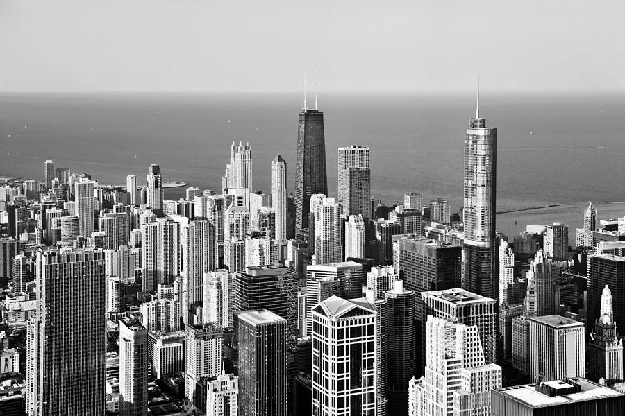 Bird Photograph - Chicago - That famous skyline #1 by Alexandra Till