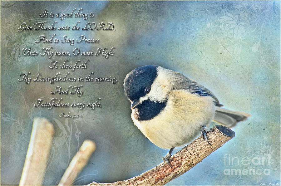 Nature Photograph - Chickadee with verse #1 by Debbie Portwood