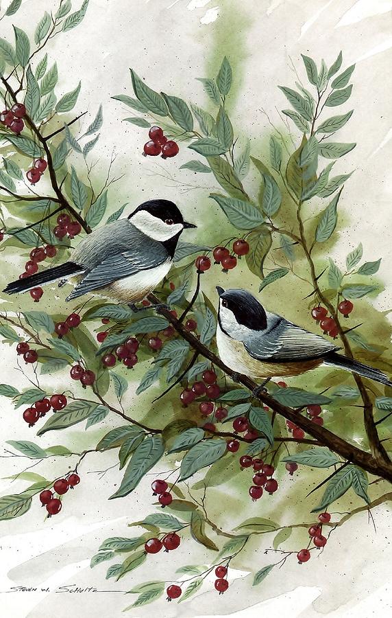 Bird Painting - Chickadees And Cherries #1 by Steven Schultz