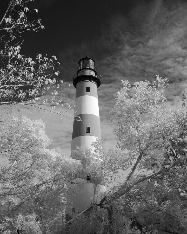 Chincoteague Island lighthouse #1 Photograph by Jack Nevitt