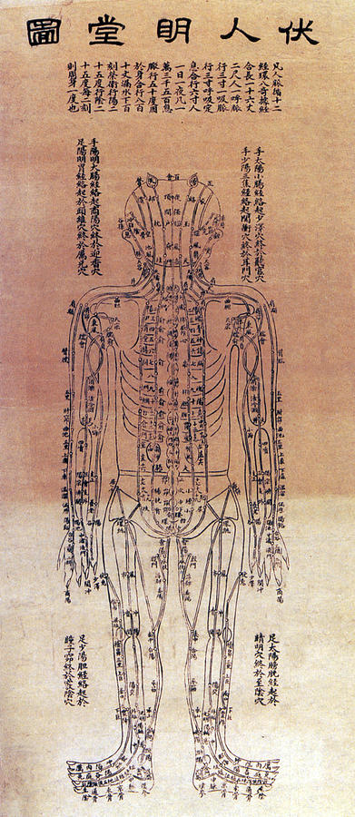 Chinese Acupuncture Chart, 1906 #2 Photograph by Science Source