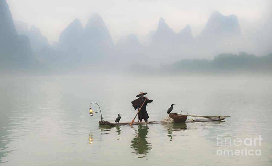 Animal Photograph - Chinese Fisherman On Li River, China #1 by John Shaw