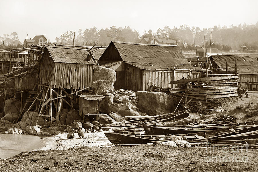 Cantonese Photograph - Chinese Fishing Village Pacific Grove California  Circa 1898 #1 by Monterey County Historical Society