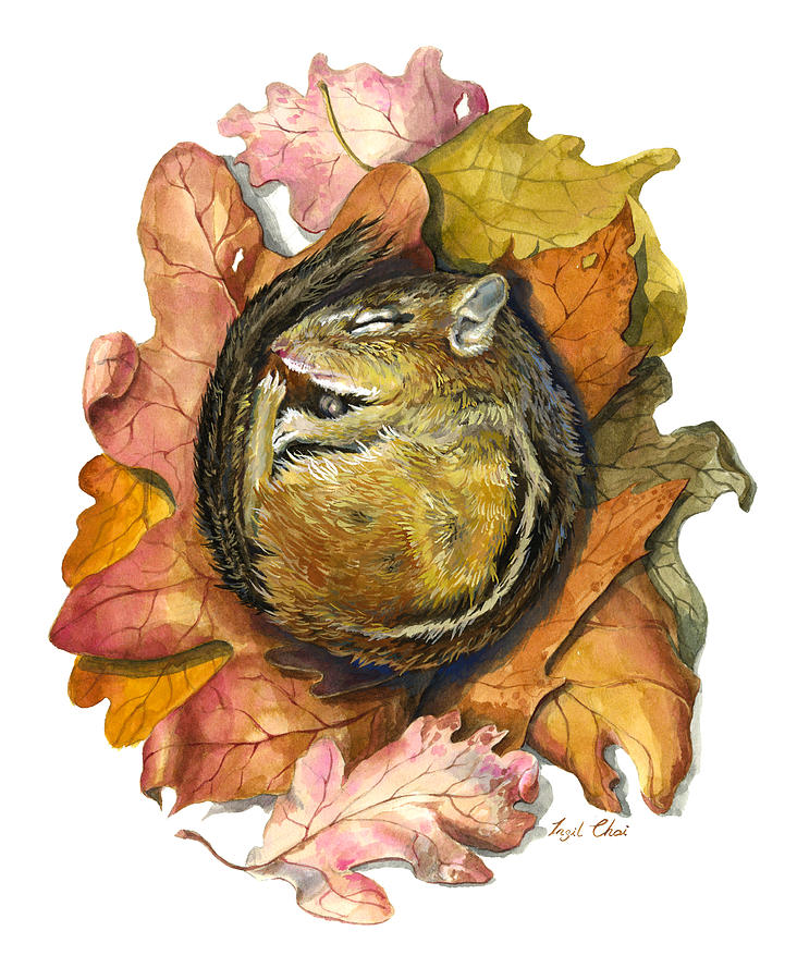Chipmunk Painting - Chipmunk Hibernation by Insil Choi Chipmunk Painting - Chipmunk Hibernation by Insil Choi