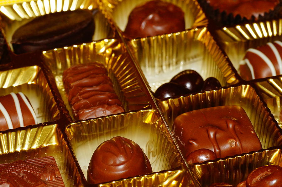 Chocolate Love Photograph by Mike Murdock