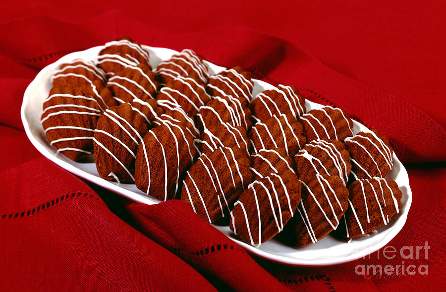 Chocolate Madeleines #2 Photograph by Iris Richardson