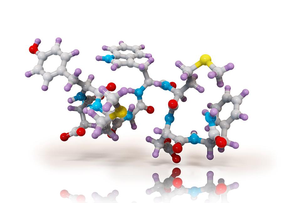 Atom Photograph - Cholecystokinin-8 molecule #1 by Science Photo Library