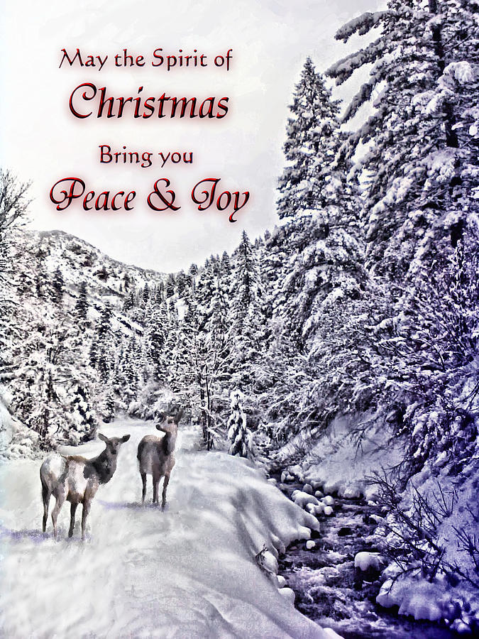 Christmas Peace and Joy Digital Art by Susan Kinney