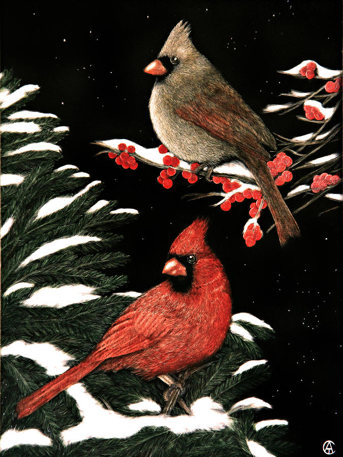 Christmas Cardinals #1 Painting by Angie Cockle