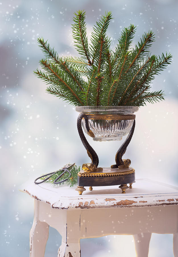 Christmas Photograph - Christmas Decoration #5 by Amanda Elwell