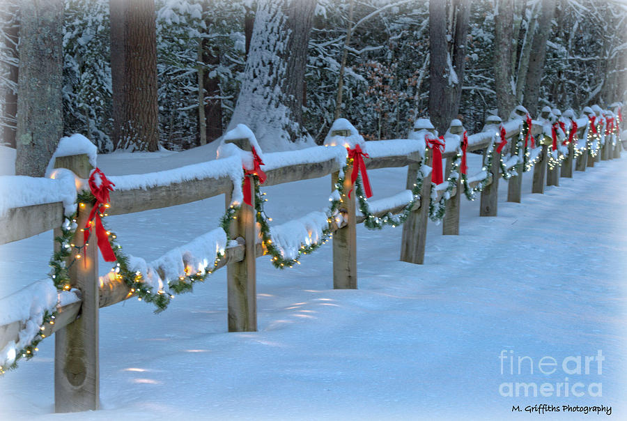 Christmas Fence Photograph By Michael Griffiths Fine Art America