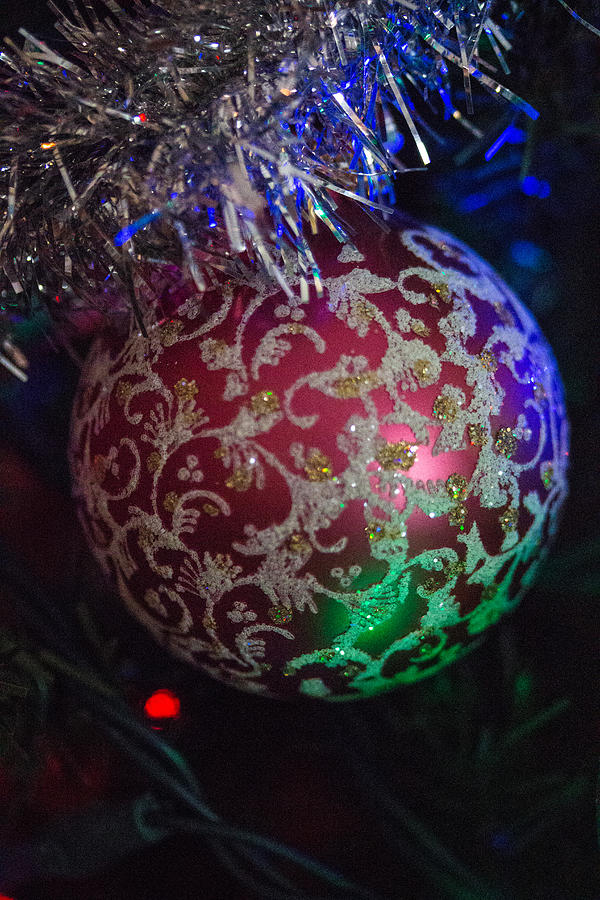 Christmas globe #1 Photograph by Susan Jensen