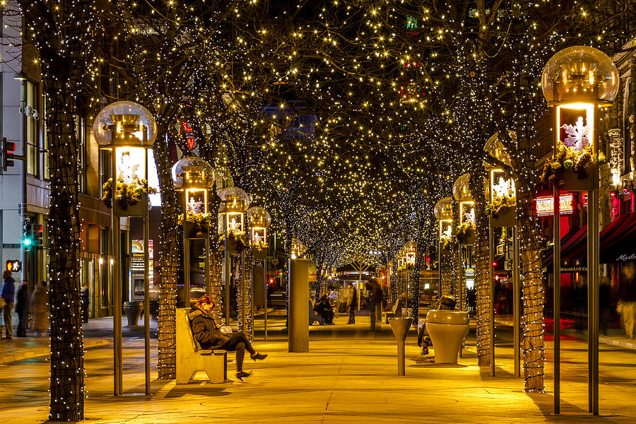 Christmas In Denver Colorado Photograph by Teri Virbickis