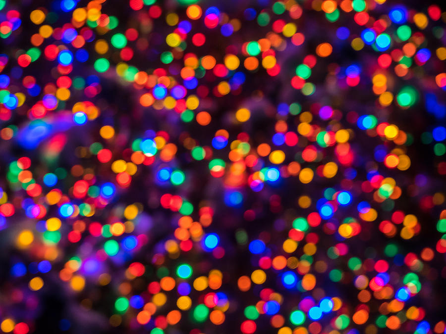 Christmas Lights #1 Photograph by David Kay